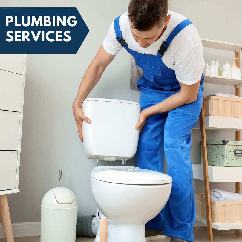 Plumbing Company in Cobden, IL